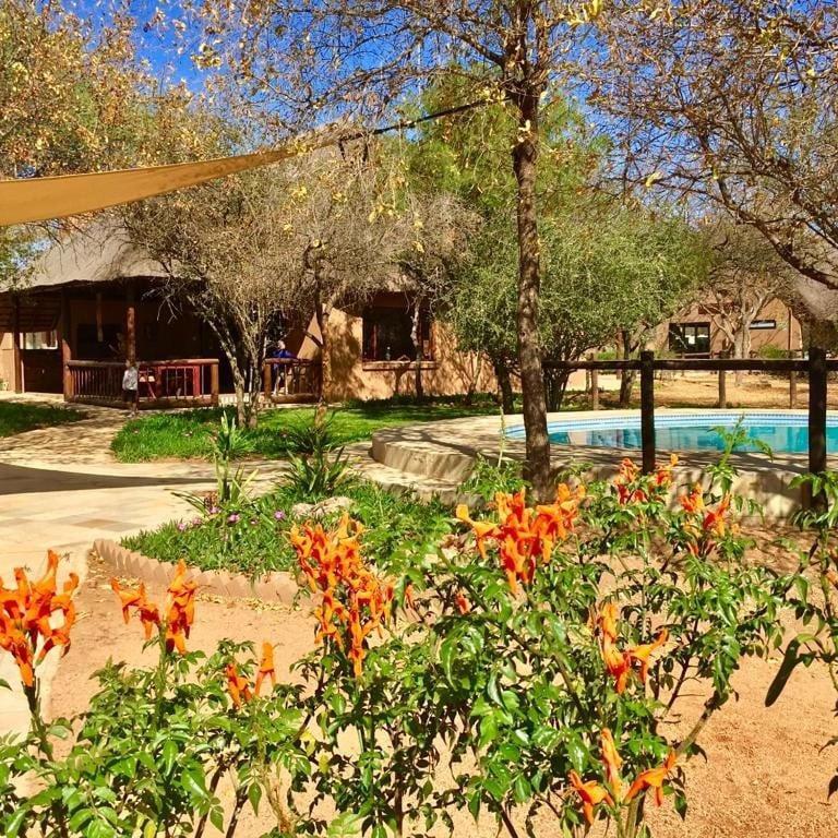 Golden Impalas Bush Resort Хамманскрал Экстерьер фото